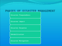 Page 18: Disaster management ppt VIII and IX class social project
